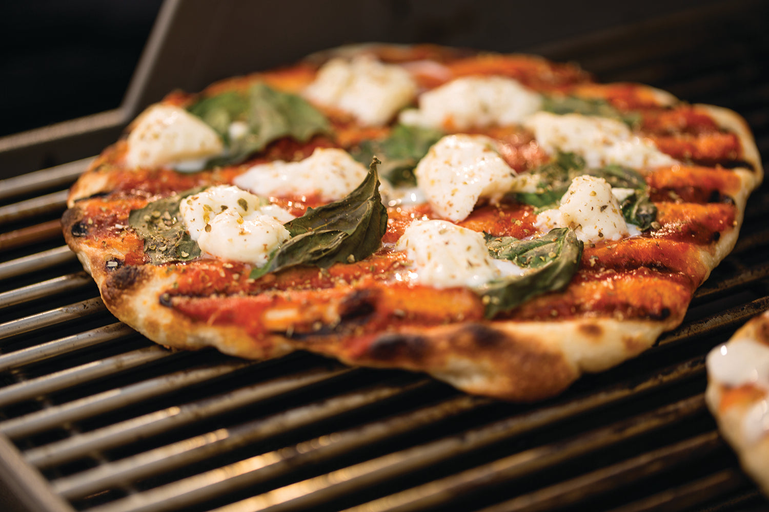 Weber Summit (E-470) BBQ (LPG)